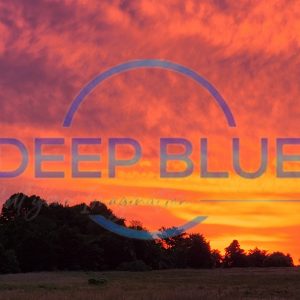 Deep Blue