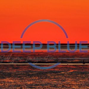 Deep Blue