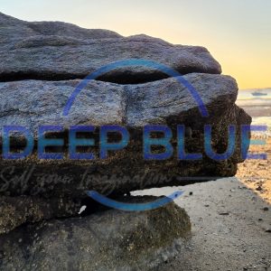 Deep Blue