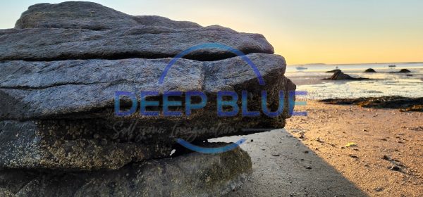 Deep Blue